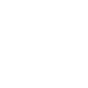 1000W, recommended for dual max 750W PV module，supporting up to 2MPPT for Europe regions